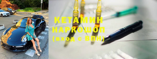 индика Нягань