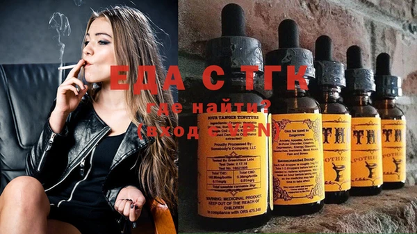 индика Нягань